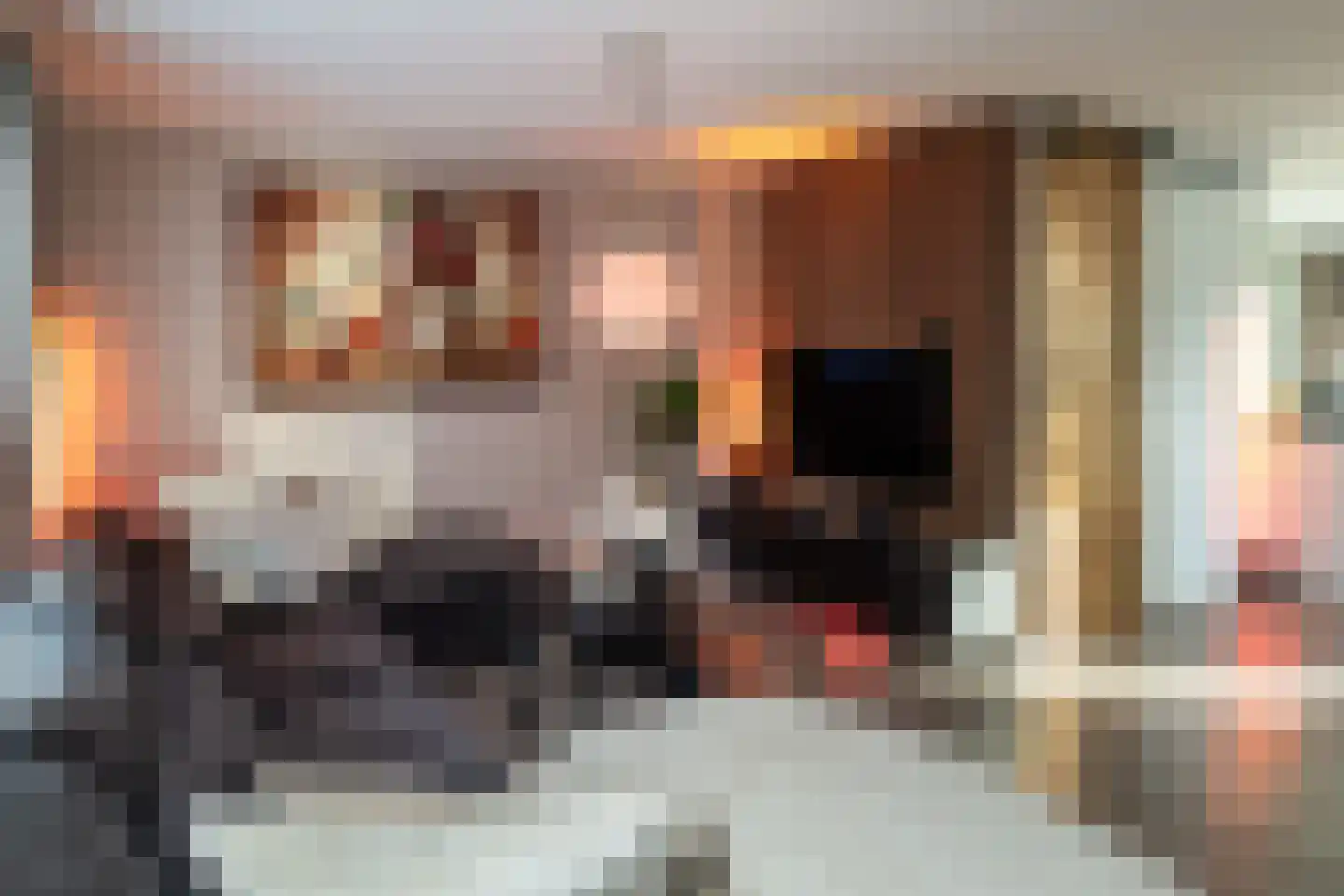 Van Leeuwenhoekstraat 98 Ridderkerk thumbnail 8