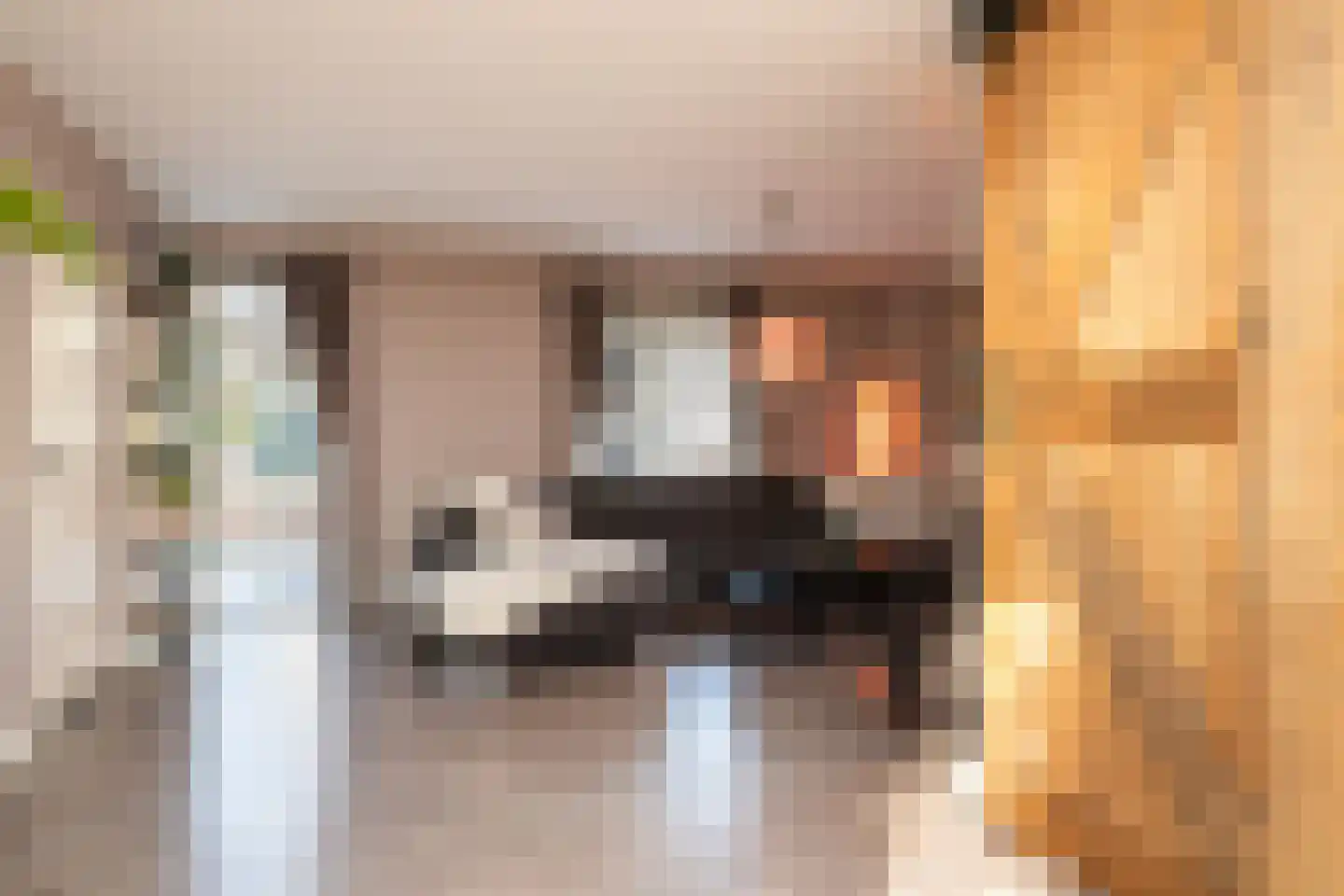 Van Leeuwenhoekstraat 98 Ridderkerk thumbnail 9