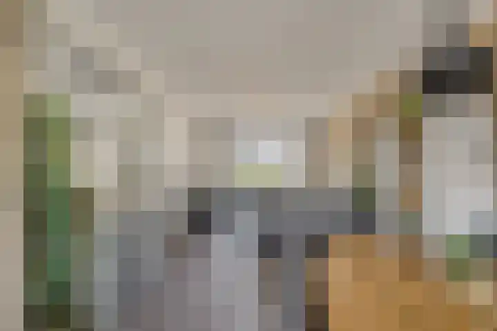 van Leeuwenhoekweg 14 Benthuizen thumbnail 10