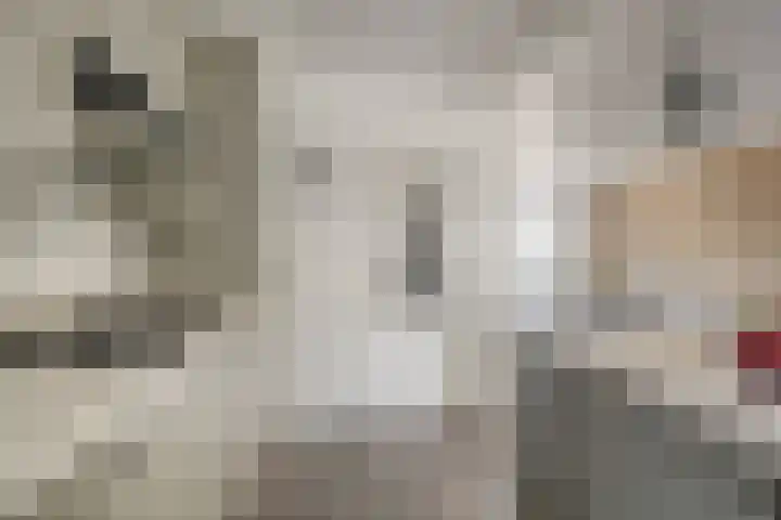 van Leeuwenhoekweg 14 Benthuizen thumbnail 17