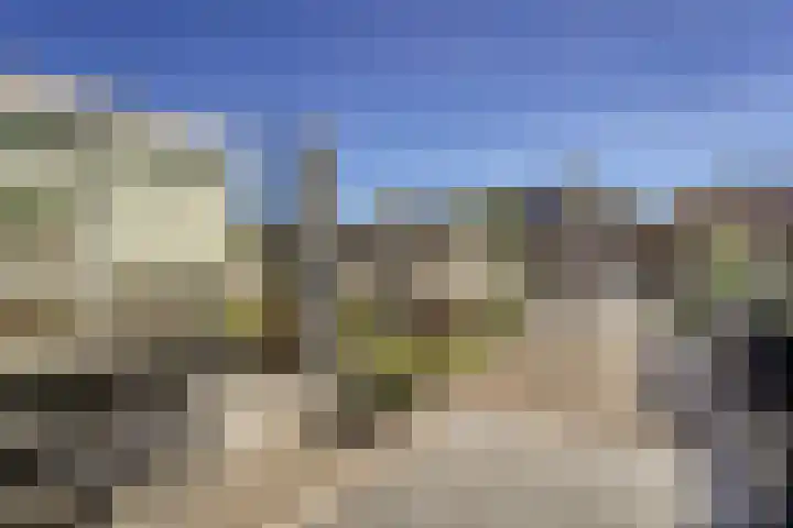 van Leeuwenhoekweg 14 Benthuizen thumbnail 19