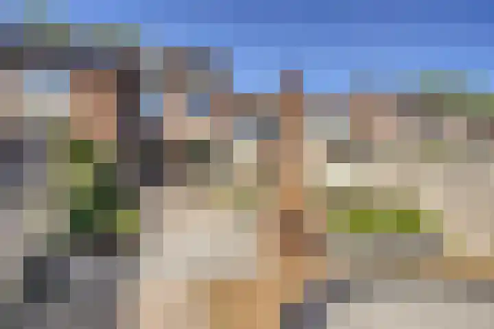 van Leeuwenhoekweg 14 Benthuizen thumbnail 21