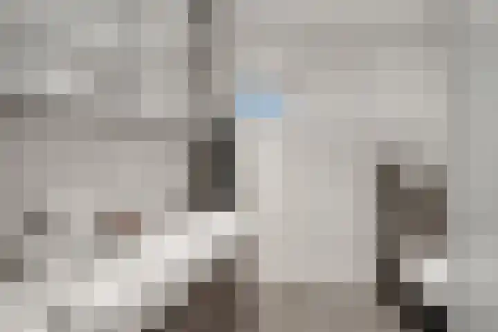 van Leeuwenhoekweg 14 Benthuizen thumbnail 31