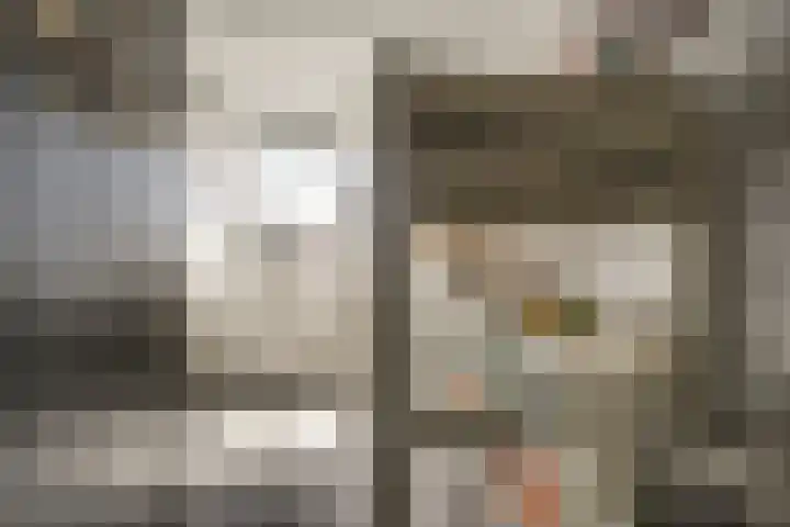van Leeuwenhoekweg 14 Benthuizen thumbnail 35