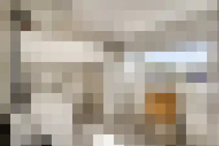 van Leeuwenhoekweg 14 Benthuizen thumbnail 37