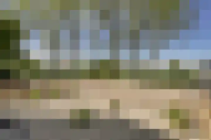 van Leeuwenhoekweg 14 Benthuizen thumbnail 40