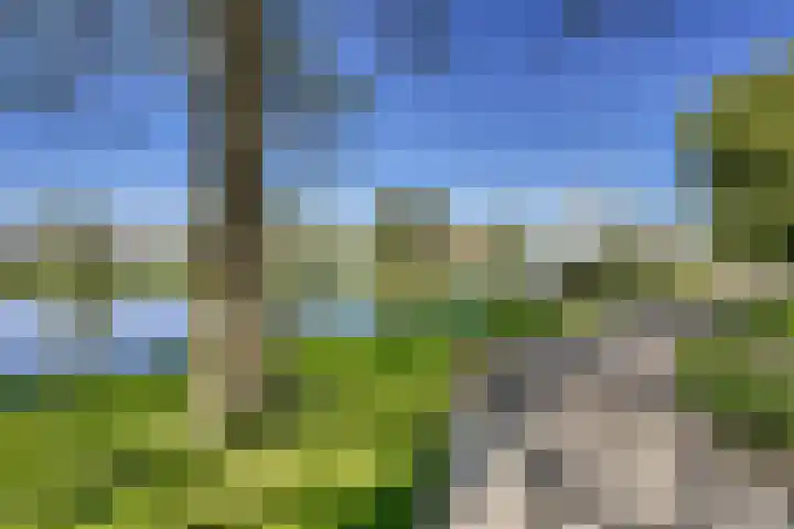 van Leeuwenhoekweg 14 Benthuizen thumbnail 42