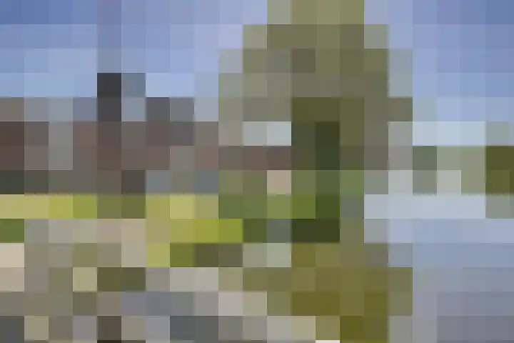 van Leeuwenhoekweg 14 Benthuizen thumbnail 43