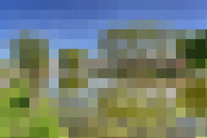 van Leeuwenhoekweg 14 Benthuizen thumbnail 44
