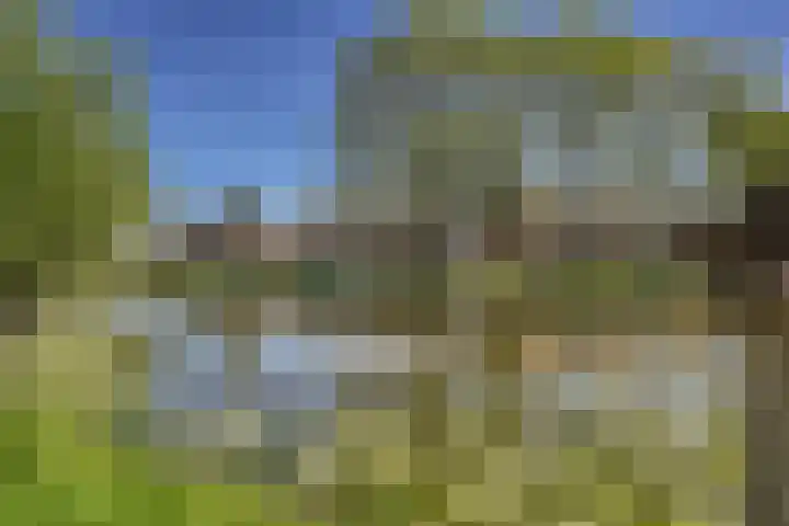 van Leeuwenhoekweg 14 Benthuizen thumbnail 45