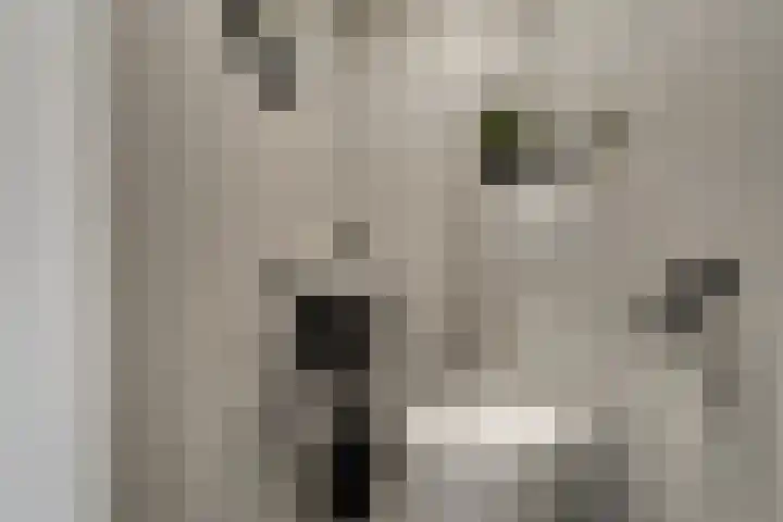 van Leeuwenhoekweg 14 Benthuizen thumbnail 7