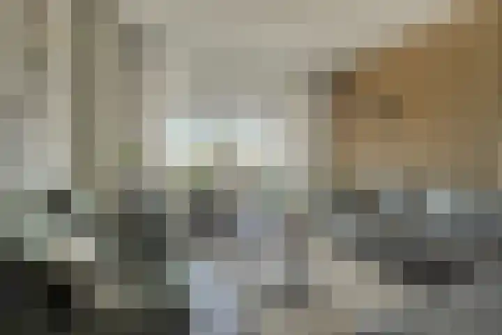 van Leeuwenhoekweg 14 Benthuizen thumbnail 8