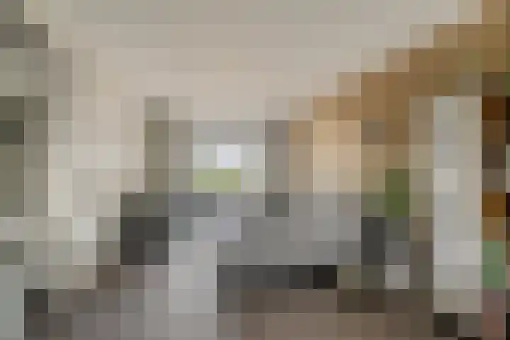 van Leeuwenhoekweg 14 Benthuizen thumbnail 9
