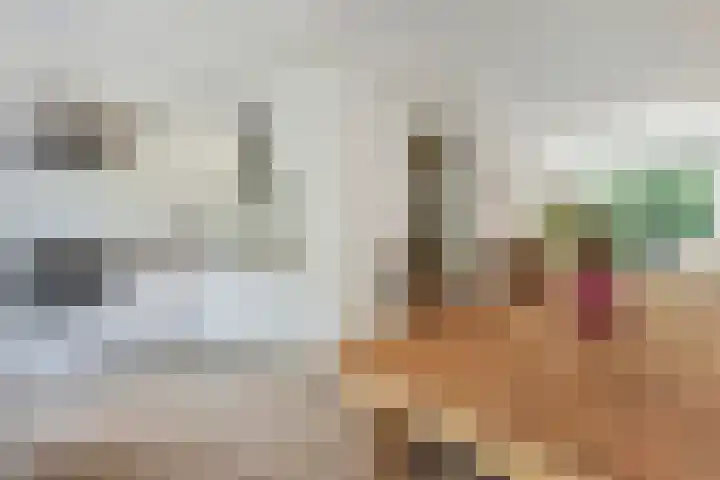 van Leeuwenstraat 108 in Voorburg