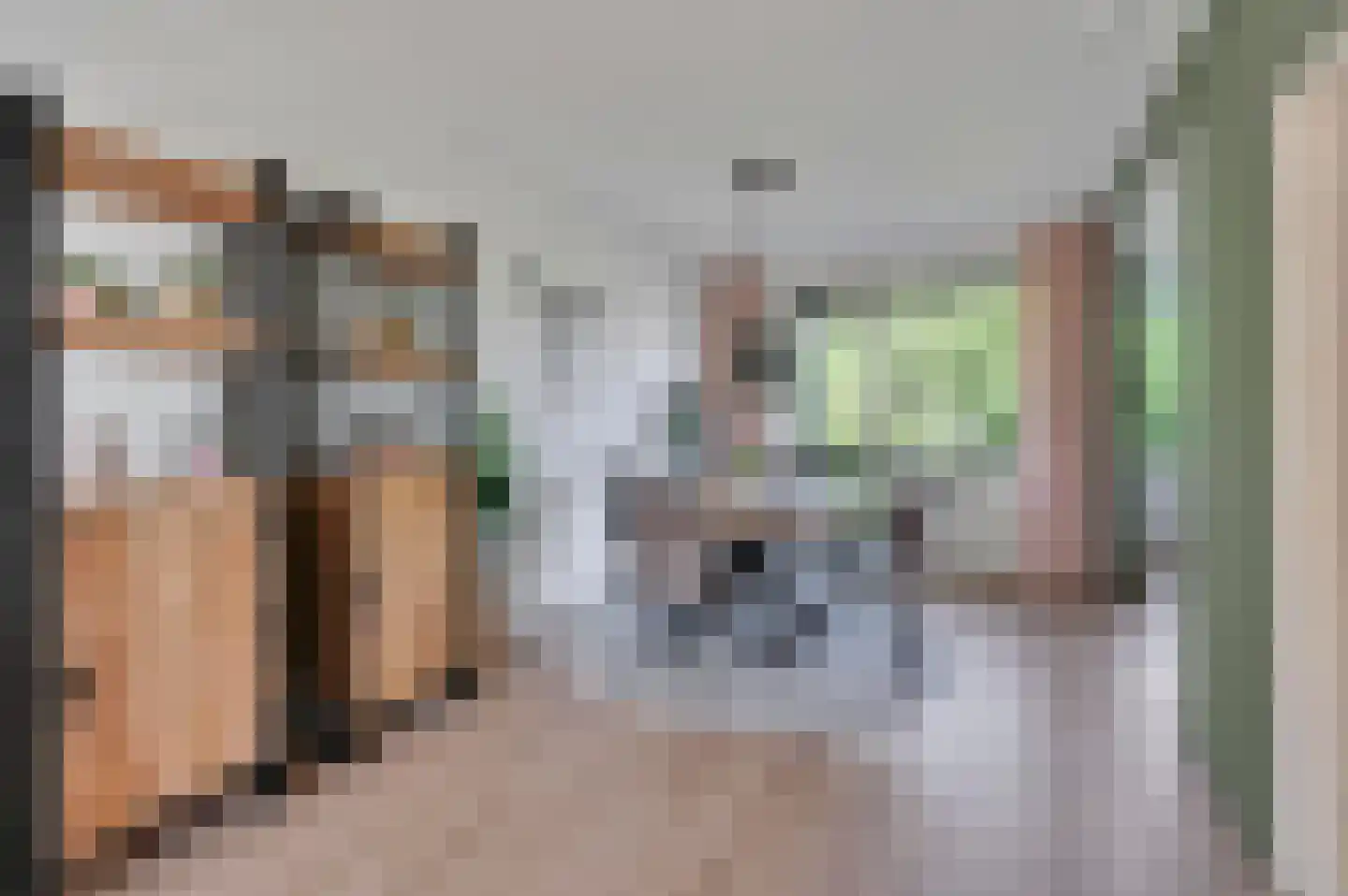 van Leeuwenstraat 110 Voorburg thumbnail 11