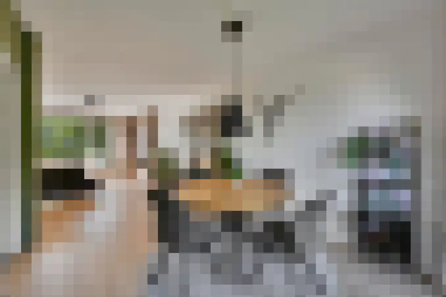 van Leeuwenstraat 110 Voorburg thumbnail 13