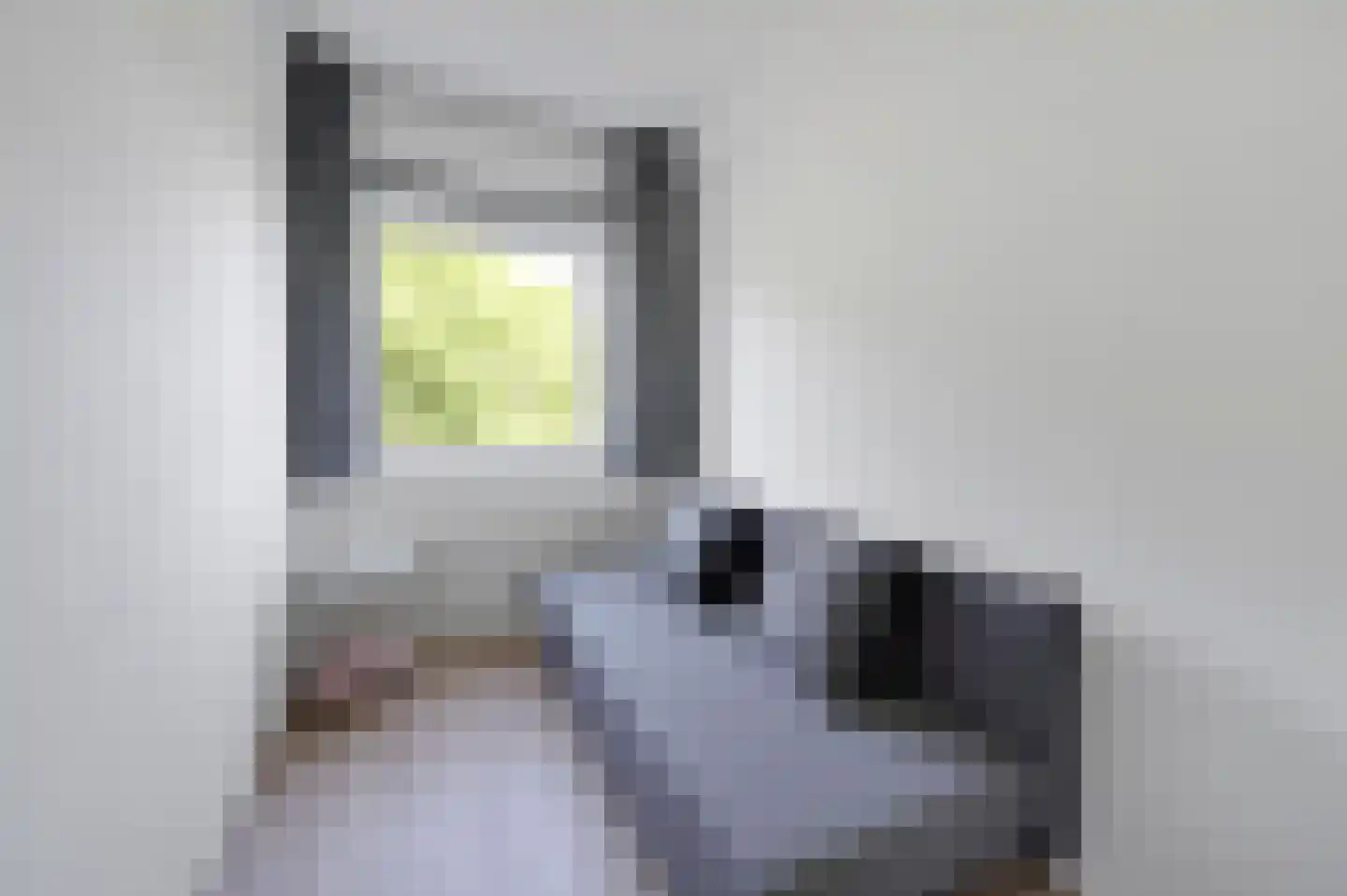 van Leeuwenstraat 110 Voorburg thumbnail 30