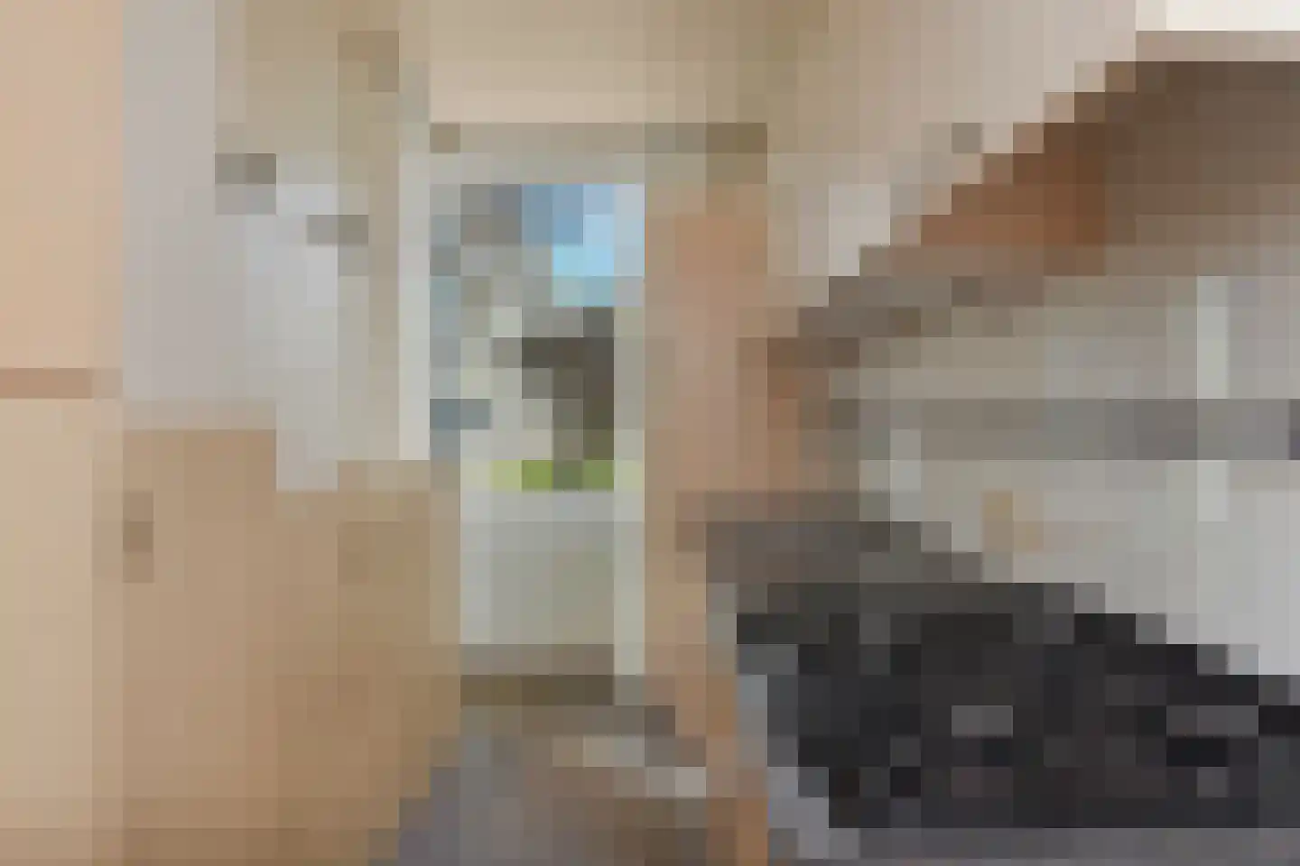 van Leeuwenstraat 118 Voorburg thumbnail 20