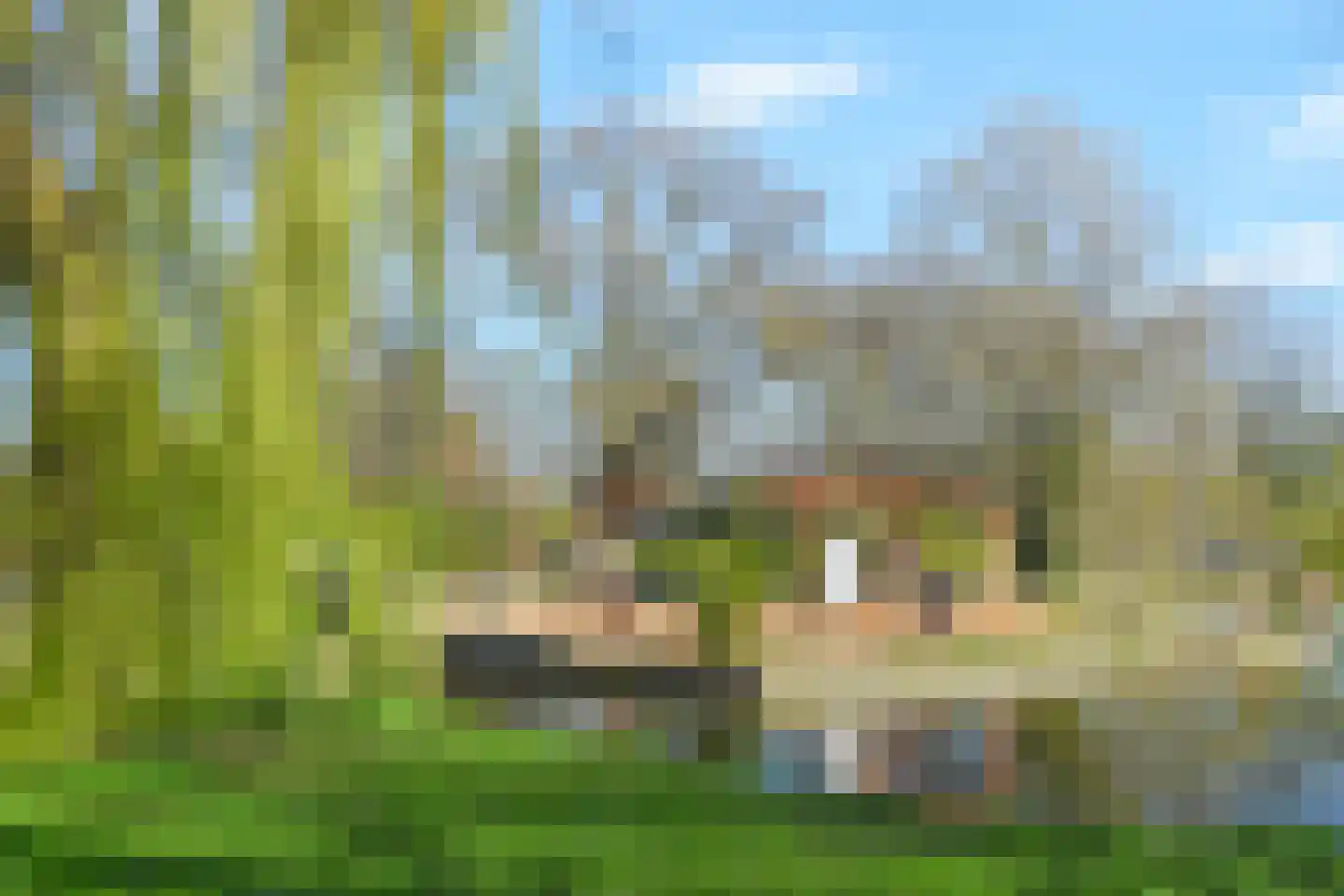 van Leeuwenstraat 118 Voorburg thumbnail 35
