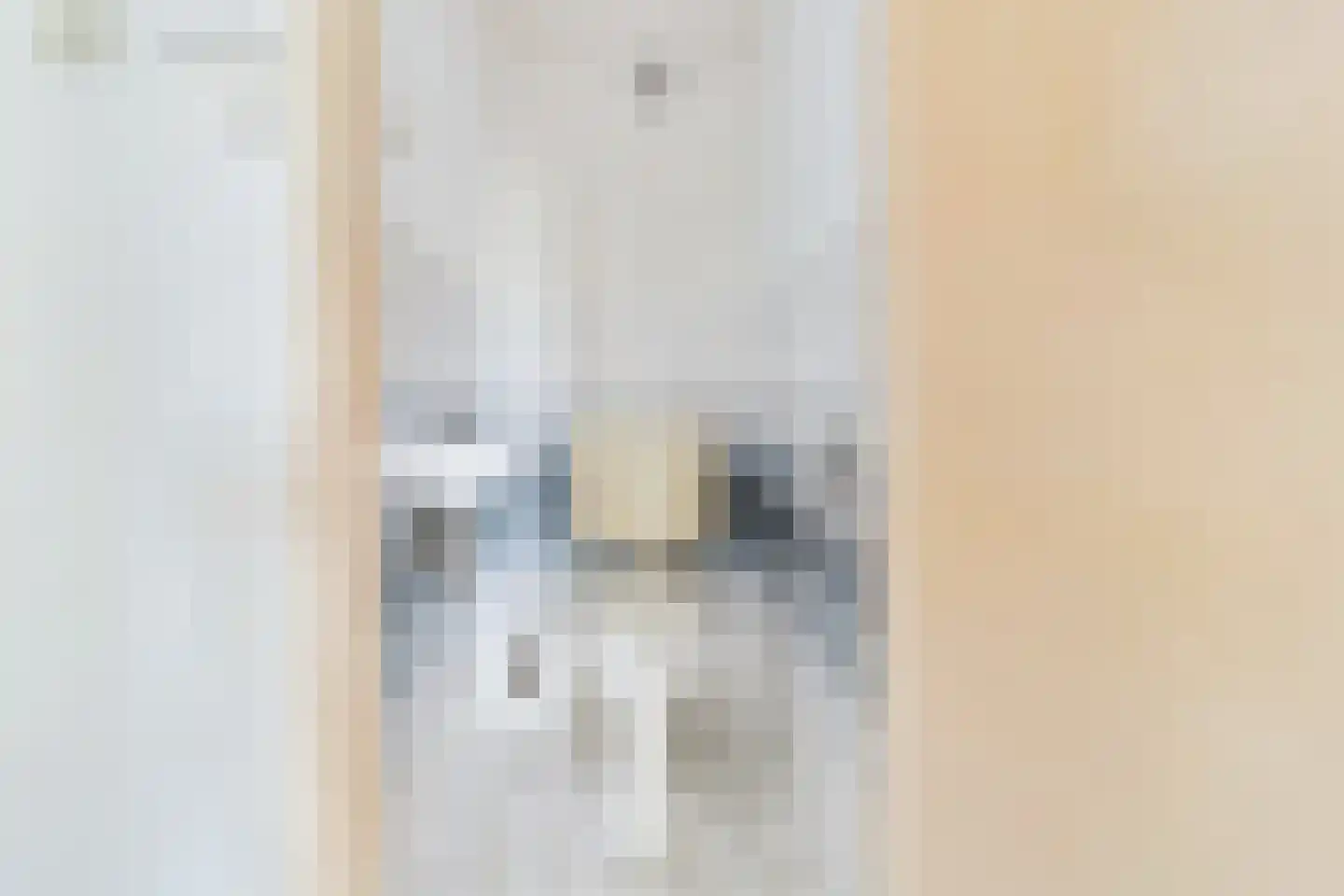 van Leeuwenstraat 13 Voorburg thumbnail 17