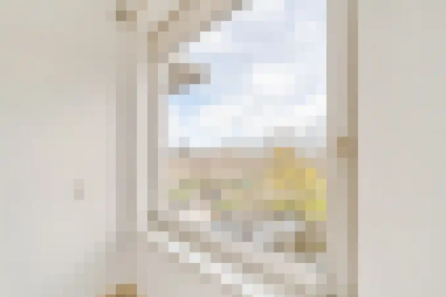 van Leeuwenstraat 13 Voorburg thumbnail 23