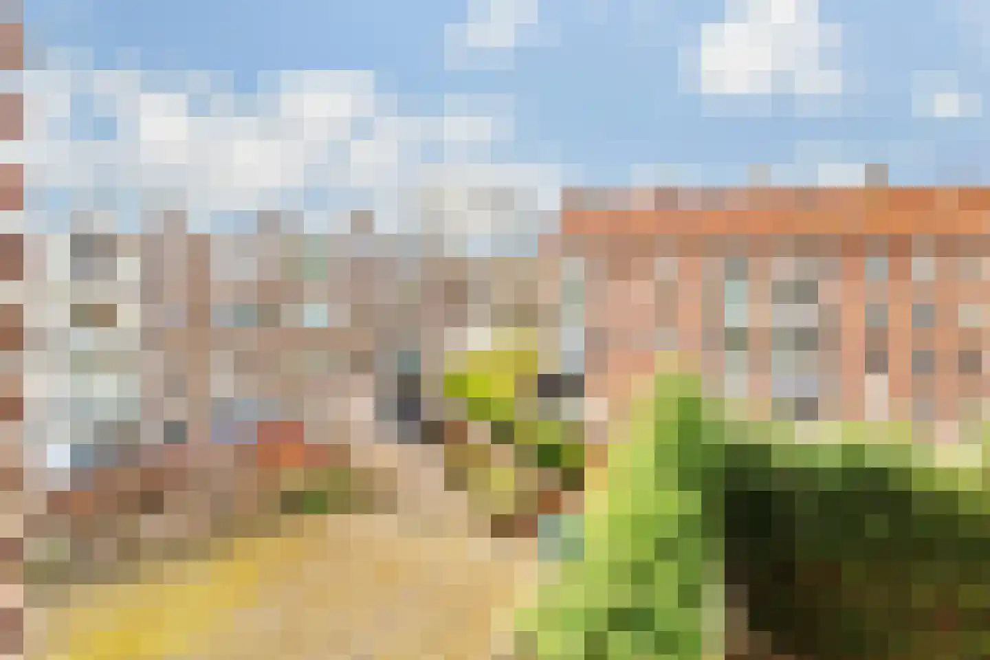van Leeuwenstraat 13 Voorburg thumbnail 27