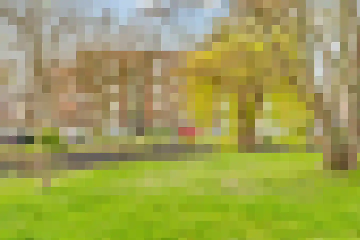 van Leeuwenstraat 13 Voorburg thumbnail 36