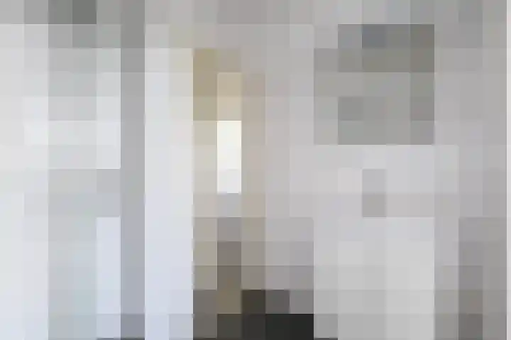 van Leeuwenstraat 131 Voorburg thumbnail 25