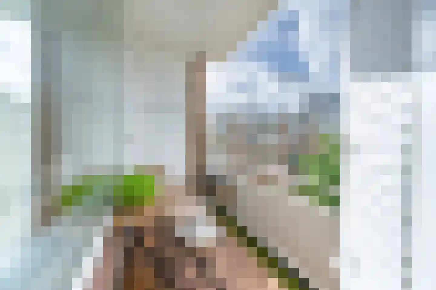 van Leeuwenstraat 14 Voorburg thumbnail 11