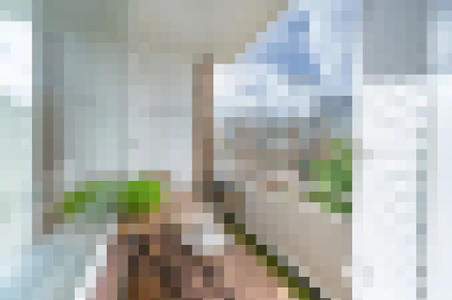 van Leeuwenstraat 14 Voorburg thumbnail 11