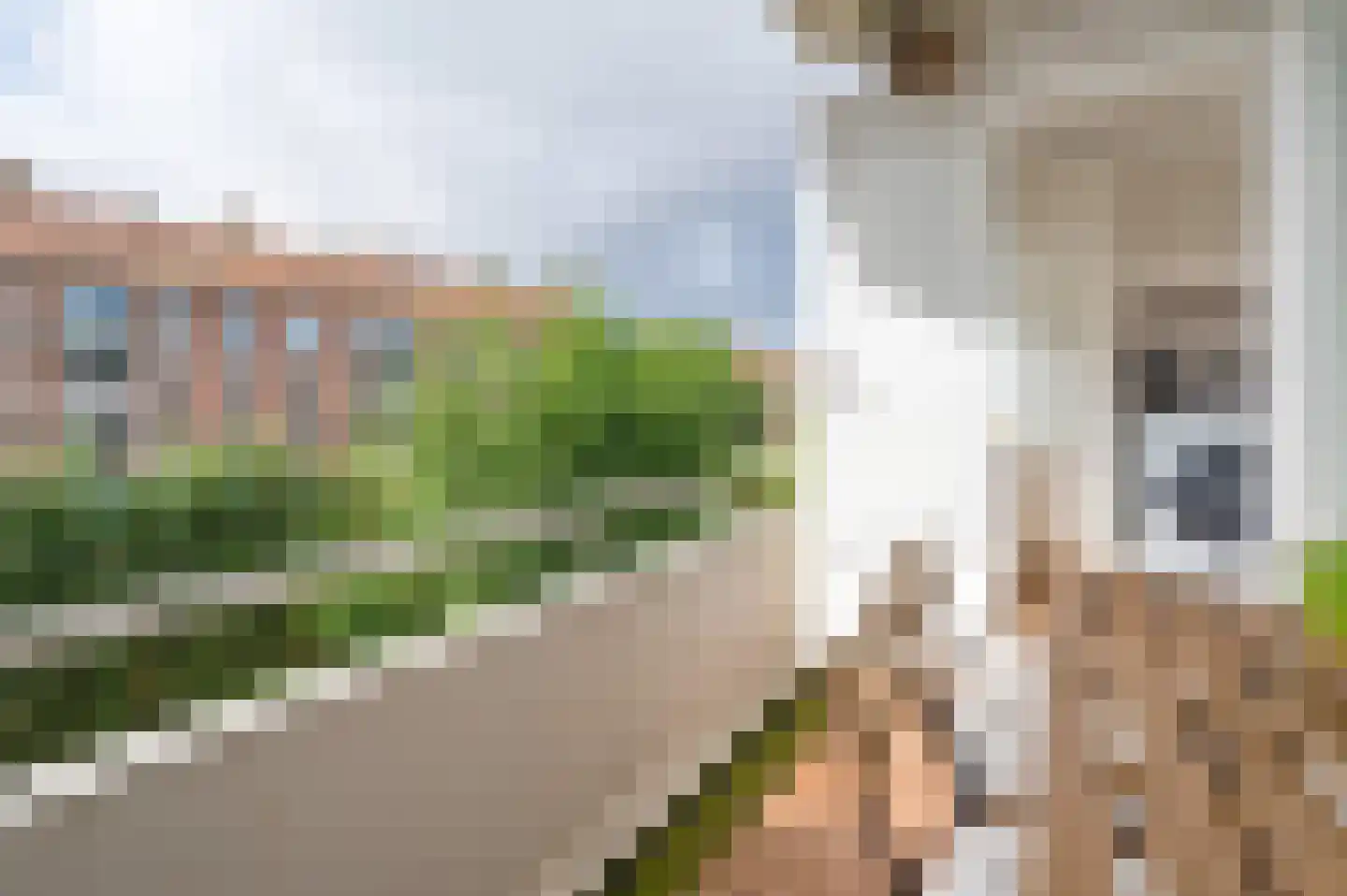 van Leeuwenstraat 14 Voorburg thumbnail 12