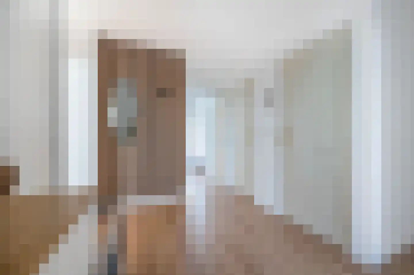 van Leeuwenstraat 14 Voorburg thumbnail 13