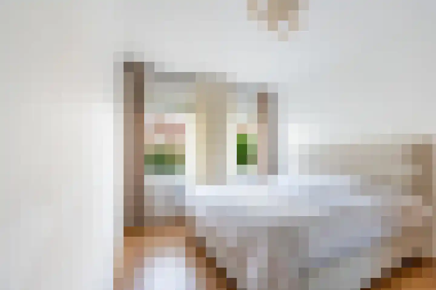 van Leeuwenstraat 14 Voorburg thumbnail 14