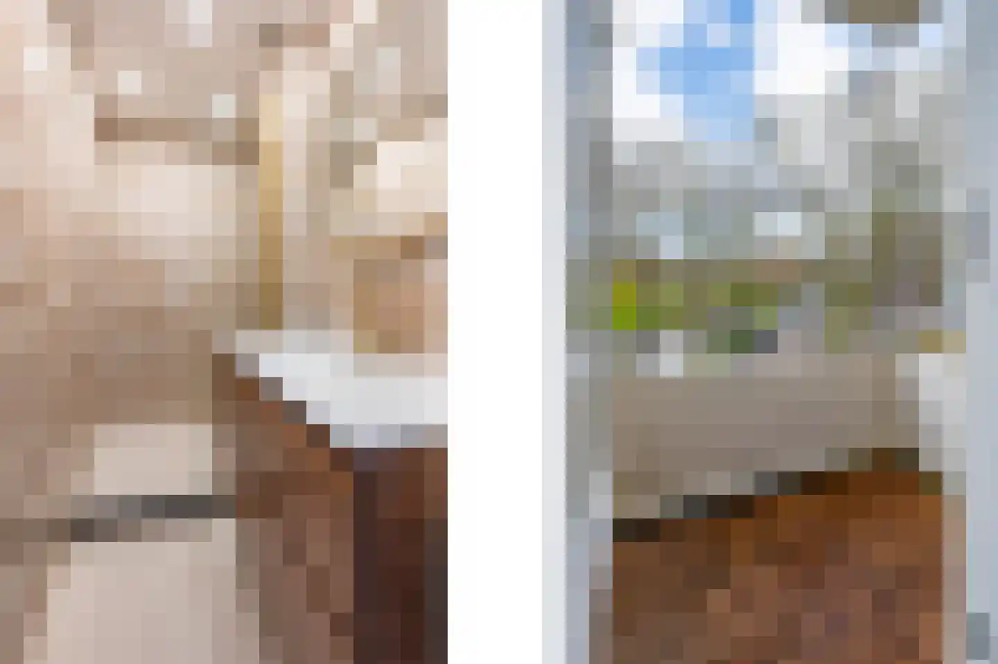 van Leeuwenstraat 14 Voorburg thumbnail 19