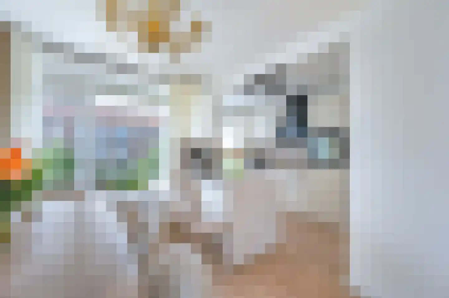 van Leeuwenstraat 14 Voorburg thumbnail 9