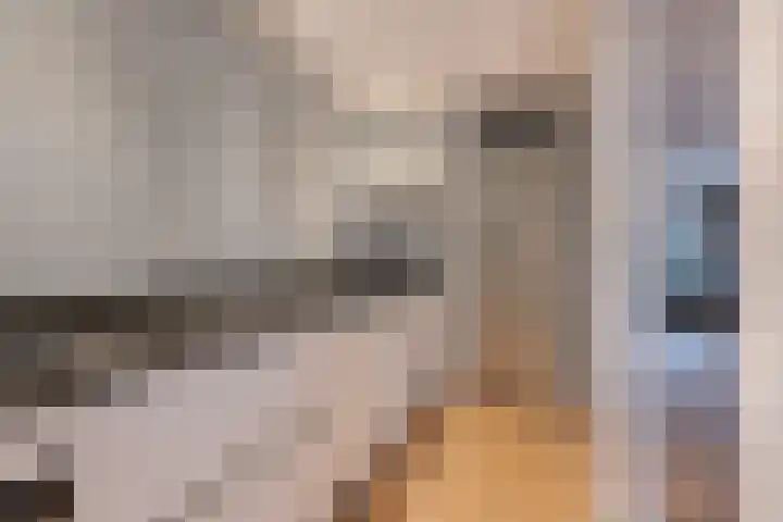 van Leeuwenstraat 16 Voorburg thumbnail 10
