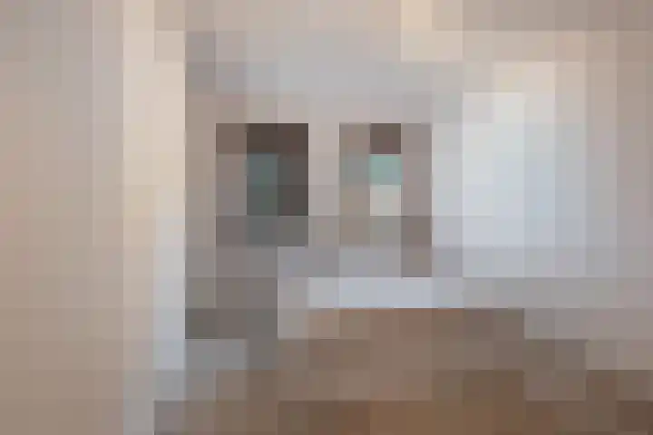 van Leeuwenstraat 16 Voorburg thumbnail 12