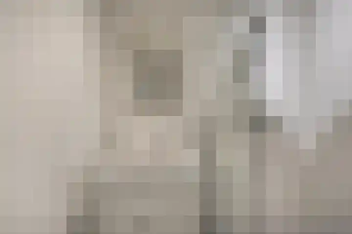 van Leeuwenstraat 16 Voorburg thumbnail 18
