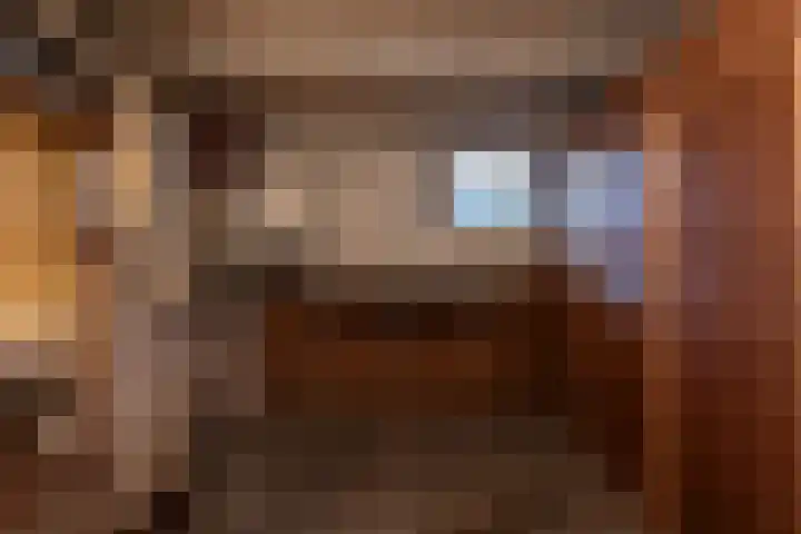 van Leeuwenstraat 16 Voorburg thumbnail 26