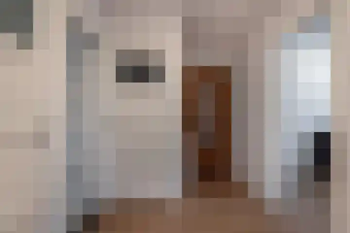 van Leeuwenstraat 16 Voorburg thumbnail 4