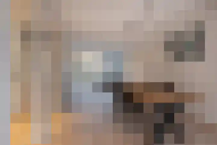 van Leeuwenstraat 16 Voorburg thumbnail 7