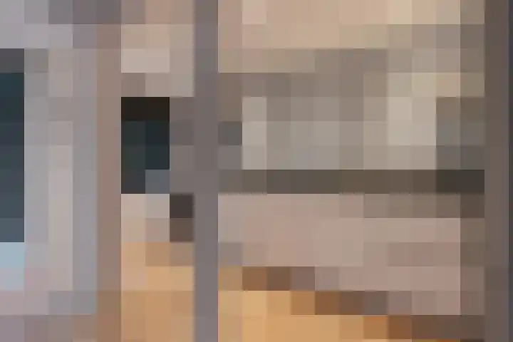 van Leeuwenstraat 16 Voorburg thumbnail 8