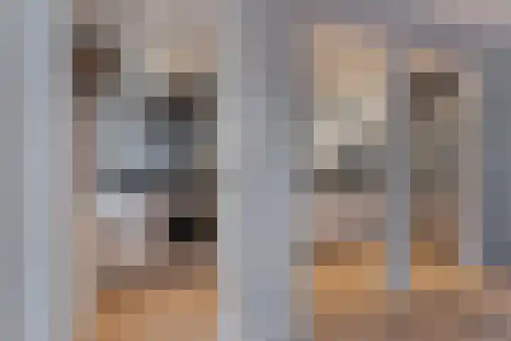 van Leeuwenstraat 16 Voorburg thumbnail 9