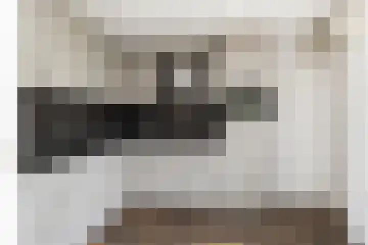 van Leeuwenstraat 19 Elim thumbnail 10