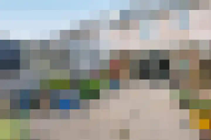 van Leeuwenstraat 19 Elim thumbnail 11