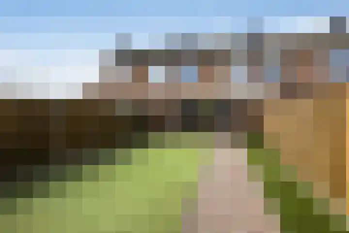 van Leeuwenstraat 19 Elim thumbnail 4