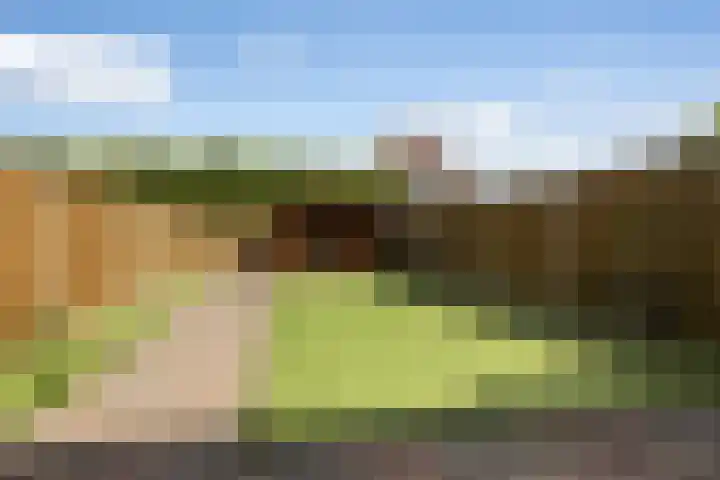 van Leeuwenstraat 19 Elim thumbnail 5