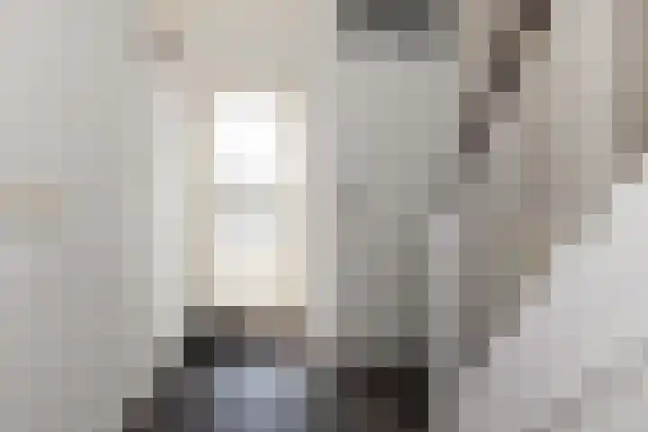 van Leeuwenstraat 19 Elim thumbnail 6