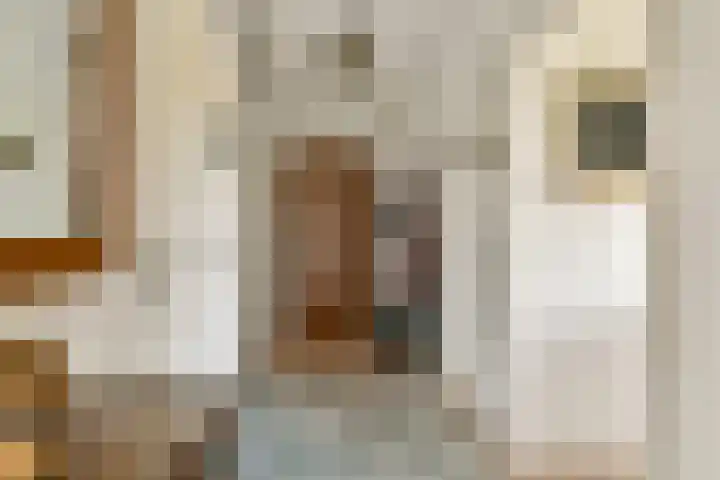van Leeuwenstraat 46 Voorburg thumbnail 11