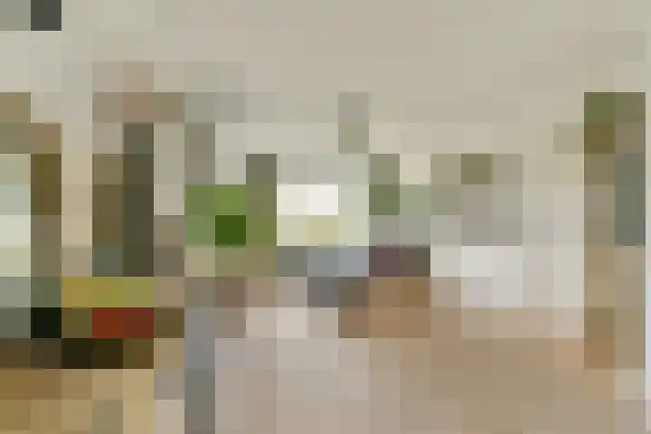 van Leeuwenstraat 46 Voorburg thumbnail 13